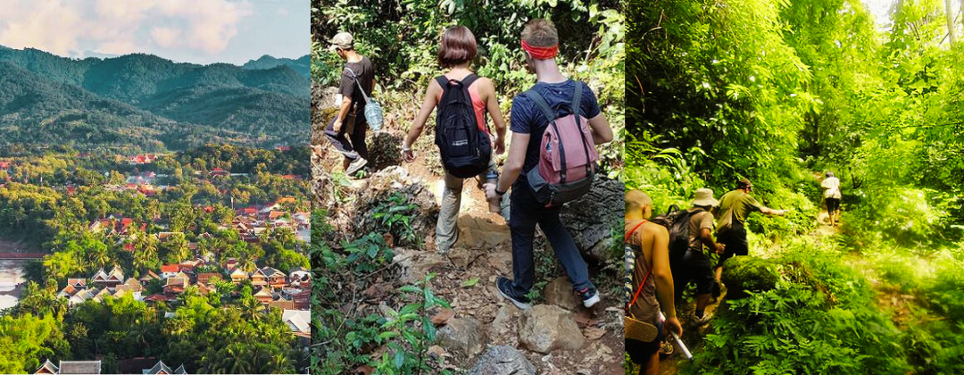 1 day LPQ (1080x420) 7