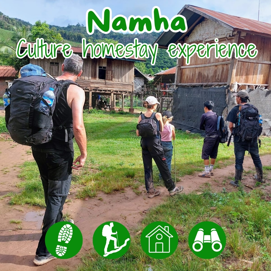 _4 d(1080 x 1080 px) green.,.. (1)