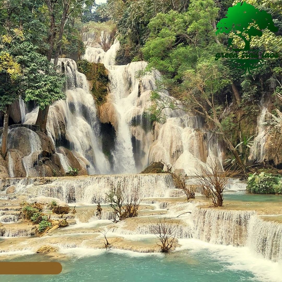 PSL (1080 x 1080 px) (6)