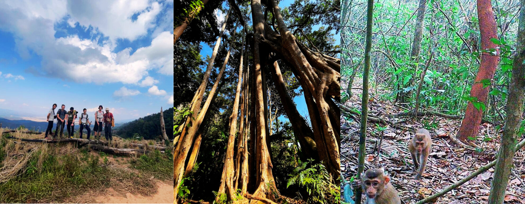 4 day C+H (1080x420) 2