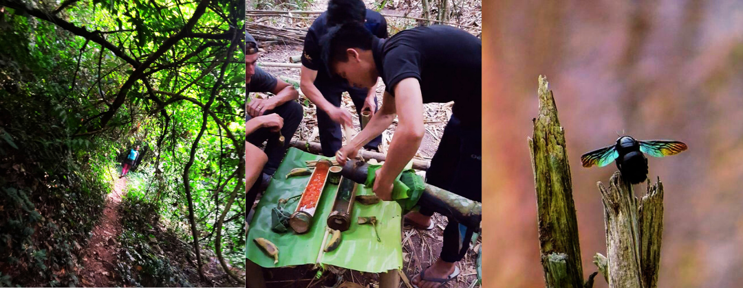 4 day C+H (1080x420) 4 (1)